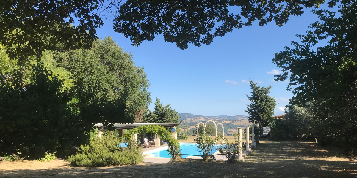 view of the pool and garden